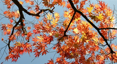 15 Fall Activities for Your Family